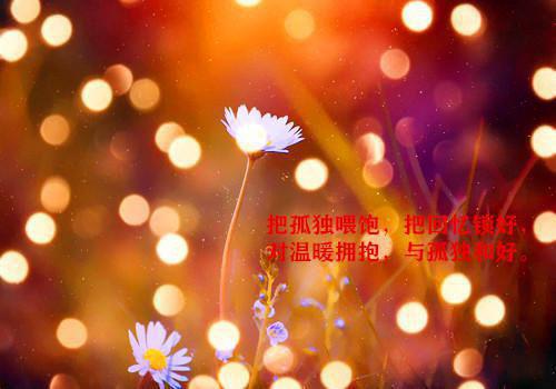挽留爱情语录经典句子