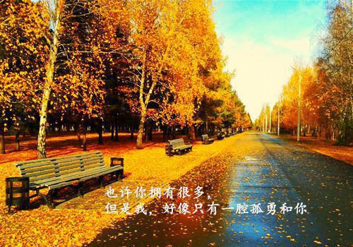 好女不愁嫁沈振瑞苏雨嘉完结版全章节阅读