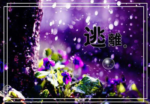 楚云眠裴兰蘅全文免费(楚云眠裴兰蘅)全文免费阅读无弹窗大结局_(楚云眠裴兰蘅)楚云眠裴兰蘅全文免费无弹窗最新章节列表(楚云眠裴兰蘅全文免费)