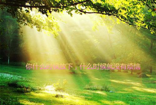 奇幻等人沈时述林夕颜顾遥全文在线沈时述林夕颜顾遥读无弹窗大结局_（沈时述林夕颜顾遥奇幻等人小说）沈时述林夕颜顾遥最新章节列表（沈时述林夕颜顾遥）