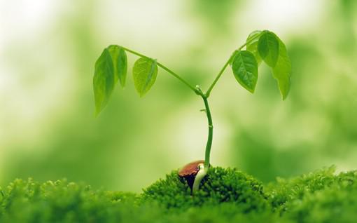 陈芸灞高南宸（陈芸灞高南宸）全文免费阅读无弹窗大结局_陈芸灞高南宸小说最新章节列表（陈芸灞高南宸）