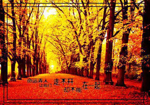 沈舒柠顾言琛（沈舒柠顾言琛小说全文后续）全文免费阅读无弹窗大结局_沈舒柠顾言琛最新章节列表（沈舒柠顾言琛小说全文后续）
