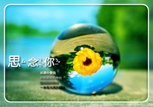秋木甄嬛全章节小说甄嬛完结版阅读