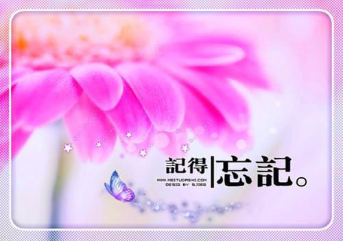 姜攸宁写的小说姜攸宁陆柯嘉阅读
