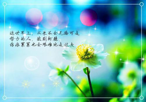 《温岁宁霍妄枭》温岁宁霍妄枭完结版全章节阅读