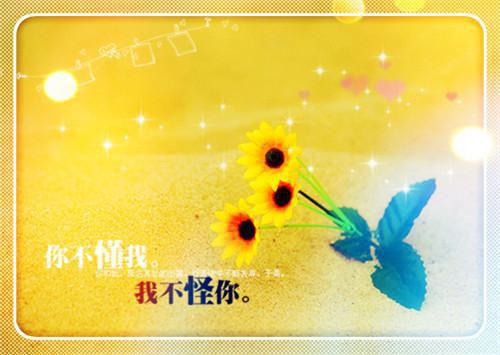 步步芸娘「精彩小说」周钰陈婉免费阅读
