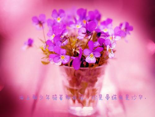 英文正能量句子唯美壁纸