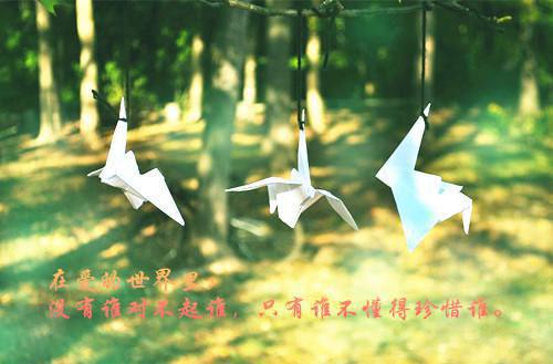 桃花歌尽终成空寸一,凌迟,谢婉玉最新章节完整版小说阅读