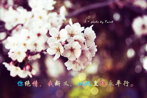 经典小说楚澜城上官怡楚澜城上官怡全章节免费阅读
