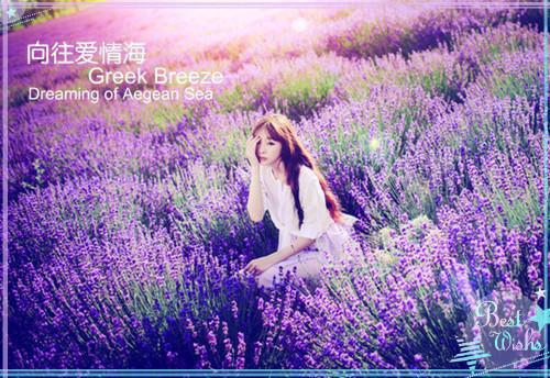 捂不热的女人不要也罢独家出品（叶凝语张翰之秦如年）已完结，捂不热的女人不要也罢独家出品已完结