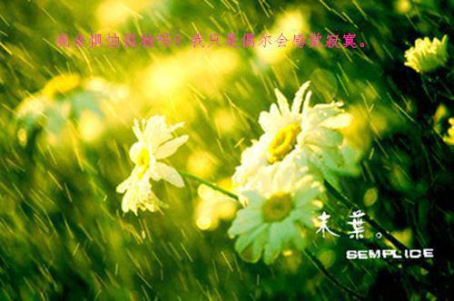 时明月陆钦舟(时明月陆钦舟)全文免费阅读无弹窗大结局_(时明月陆钦舟)时明月陆钦舟小说阅读无弹窗最新章节列表（时明月陆钦舟)