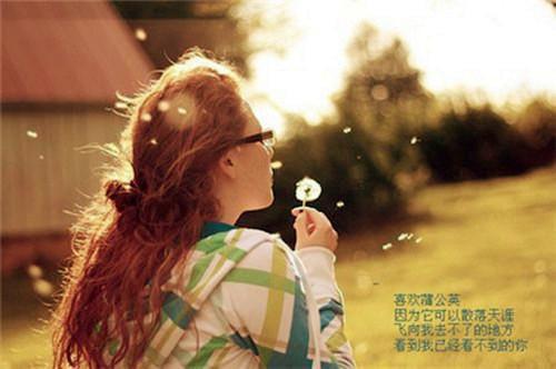 苏琳琅贺敬廷全文免费阅读（苏琳琅贺敬廷小说）全文免费阅读无弹窗大结局_(苏琳琅贺敬廷小说免费阅读全文大结局)最新章节列表（苏琳琅贺敬廷）