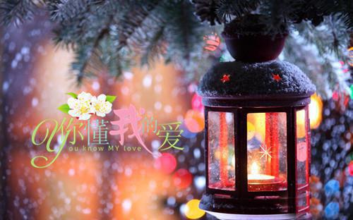 全本纯净版老周的幸福生活（赵菲菲菲菲）最新章节列表_全本纯净版老周的幸福生活全文阅读