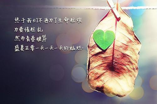 全本断绝关系后，哥哥们肠子悔青了（夏恬恬徐温喻）最新章节列表_全本断绝关系后，哥哥们肠子悔青了全文阅读