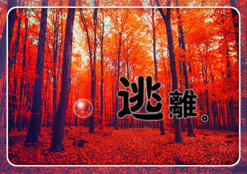 《重生后我渣了前夫》小说目录阅读第5章失望