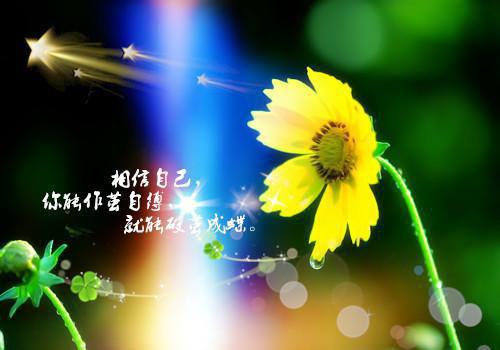 幽默哲理正能量句子