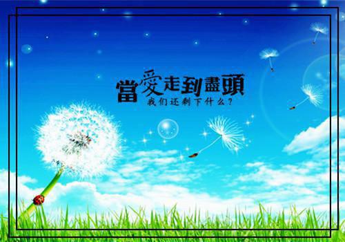 2023最火热门小说（沈蓓依贺司晔）在线阅读 主角是（沈蓓依贺司晔）的小说沈蓓依贺司晔全文赏析最新章节列表