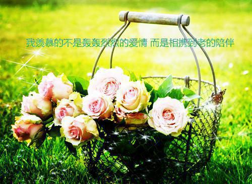 高分佳作注意！闪婚老公退役，禁止心动花半夏时峥小说最新章节免费阅读