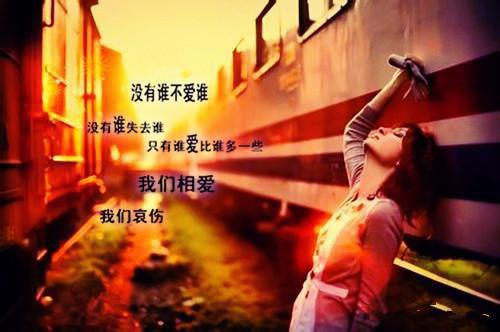 楚白莺夜轩楚白莺全文小说免费阅读