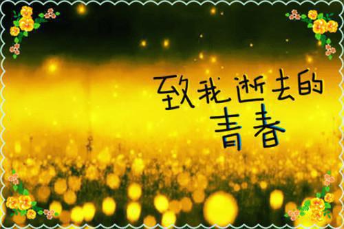 小说顾以辰姜青雾全文主角为姜青雾顾以辰免费阅读