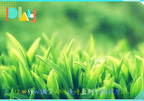 你一个玩具厂，全是军用黑科技？全文阅读_林枫杨国安小说免费试读