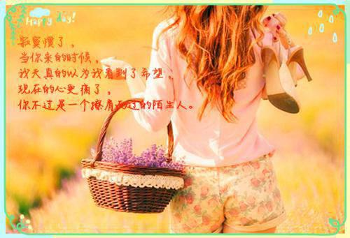 丈夫装穷七年，我和儿子不要他了：结局+番外高分完本（沈知凛杨希月）已完结，丈夫装穷七年，我和儿子不要他了：结局+番外高分完本已完结