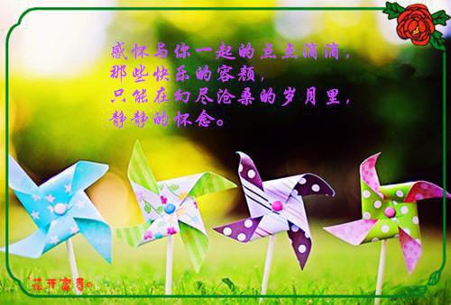 正能量伤感的句子
