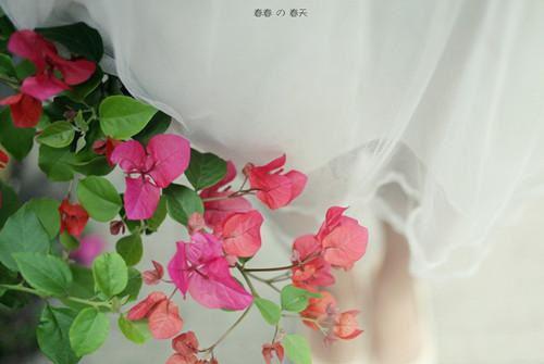 柔情似水在线赏析苏知阮沈祁推荐完本_已完结柔情似水在线赏析(苏知阮沈祁)