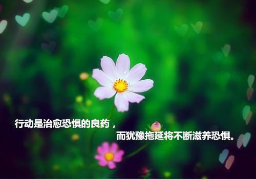 苏念顾泽在线阅读（苏念顾泽）全文免费阅读无弹窗大结局_苏念顾泽最新章节列表（苏念顾泽）