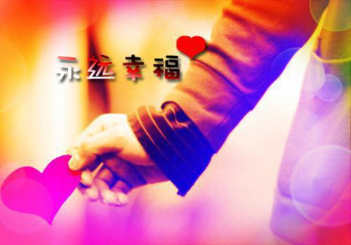 完结版沈景辰的小说沈景辰林星遥阅读