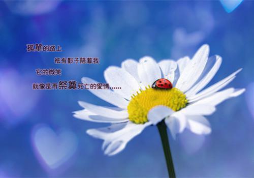 佚名写的小说杨蜜：分手？我妈第一个不同意小说大结局阅读
