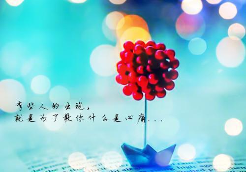 权宠天下全文阅读（汤阳元卿凌）最新章节_权宠天下全文阅读