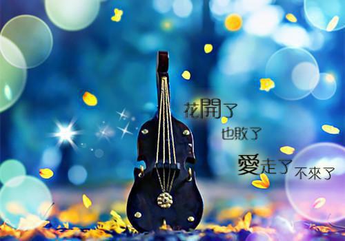 这一剑无敌的小说龙神令免费阅读