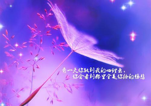 谢淮然江月小说小说全本完结版免费阅读