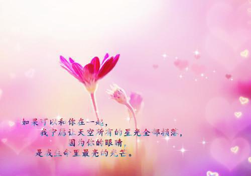 小说容柏松魏瑶瑶全文阅读容柏松魏瑶瑶完结版阅读