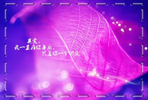 死后第七年，我重生成狗了：结局+番外/全集/电子书/大结局（死后第七年，我重生成狗了：结局+番外）宋温童陆沉淮阅读 耽美微宋温童陆沉淮