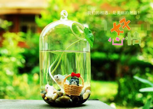 明薇顾时谌（明薇顾时谌）全文免费阅读无弹窗大结局_（明薇顾时谌）明薇顾时谌最新章节列表（明薇顾时谌）