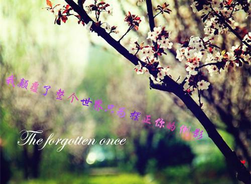 宋忍冬陈京叙全本资源（陈京叙宋忍冬）全文免费阅读无弹窗大结局_宋忍冬陈京叙最新章节列表（陈京叙宋忍冬）