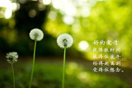 都市小说一颗糖就不苦第4章免费阅读