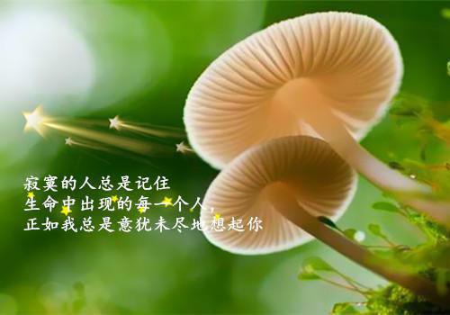 姜岁初陆祉年全文免费阅读（甜宠救赎:竹马的爱慕心藏不住了姜岁初陆祉年）全文免费阅读无弹窗大结局_(姜岁初陆祉年甜宠救赎:竹马的爱慕心藏不住了免费阅读全文大结局)最新章节列表（姜岁初陆祉年）