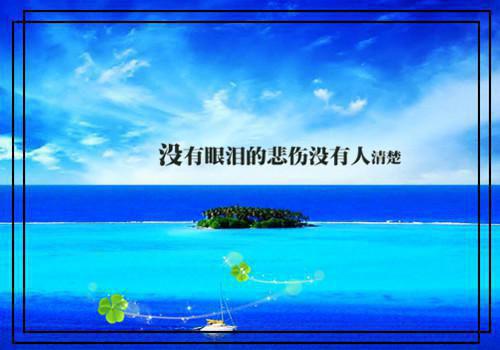 全文小说王者归来徐绍川薛嘉琪免费阅读