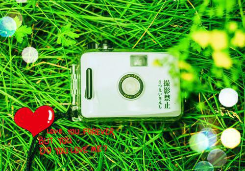 最新章节陆沉舟沈意欢颜以宸_陆沉舟沈意欢颜以宸已完结