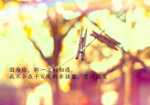 重生后，病娇萝莉爆改人生免费小说苏北苏柔全章节阅读