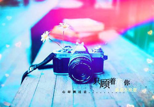 麻辣娇妻，腹黑军官狠狠撩完整版小说_麻辣娇妻，腹黑军官狠狠撩全文免费阅读
