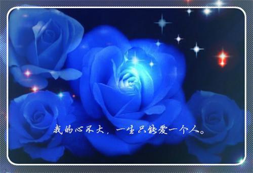 宋糖贺淮那枚,向贺淮,那次完结版全章节阅读