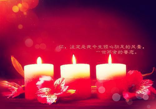 小说若若骄阳第1章完整版阅读