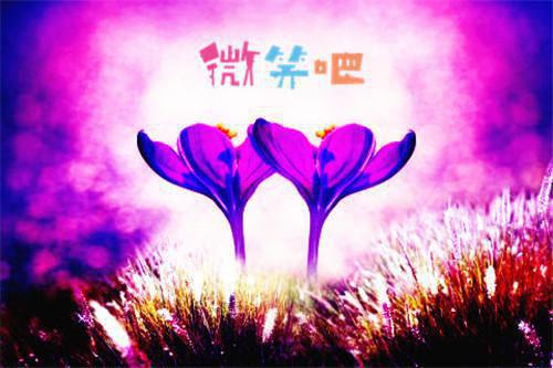 病弱团宠死心后,全员火葬场了全文阅读精品推介全文小说姜愿乔蓁蓁最新章节阅读
