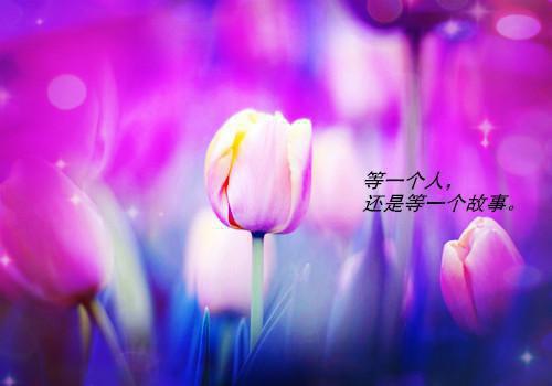 人生感悟的句子 爱情 英语句子