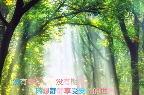 林意可孟睿琛小说全本完结版免费阅读