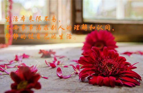 完结版小说从火箭班转去差班，年级第一看我笑话第3章阅读